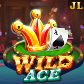 Wild Ace ldplayer app